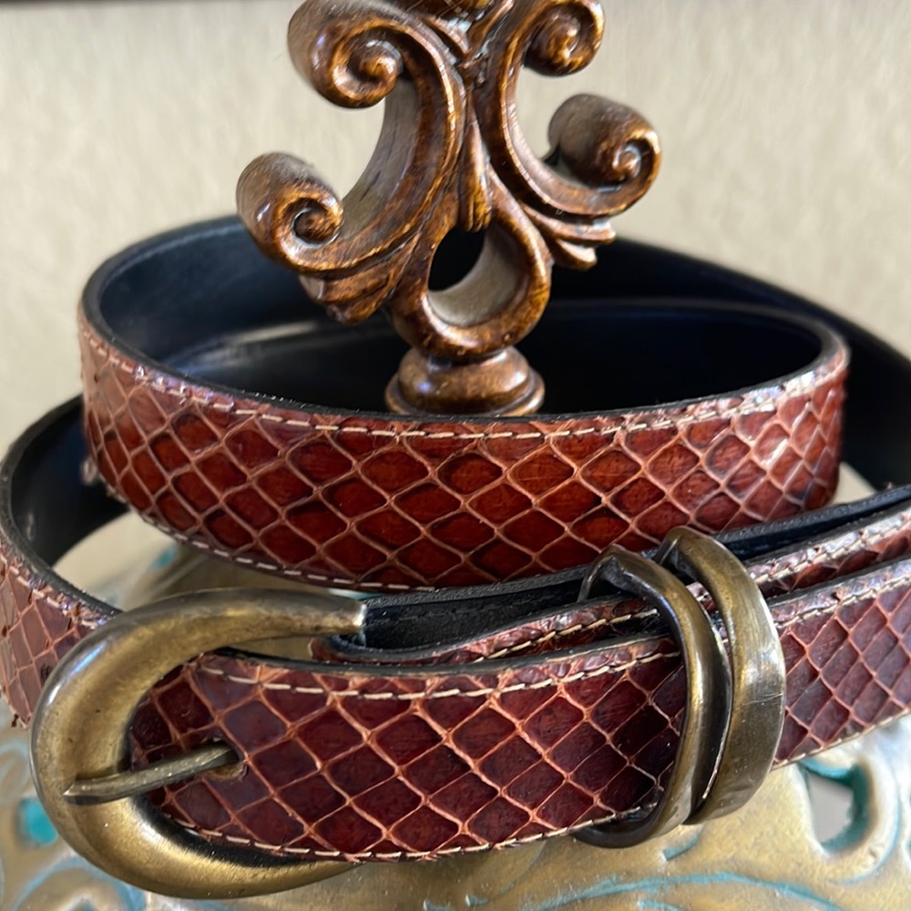 Genuine snakeskin with brass buckles